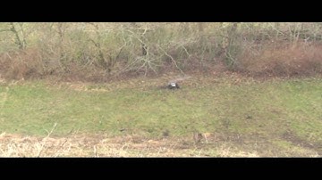 big jump mpeg 2 hd 1080i mpg 7  klip mpg youtube