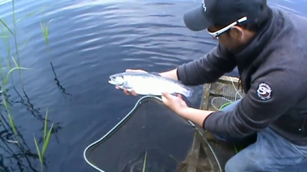 Fly Fishing Damsel Techniques making the most of the damsel lure