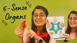 Five sense organs | Teaching sense organs to kids | Props for sense organs