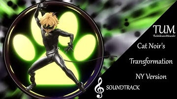 Miraculous: Cat Noir