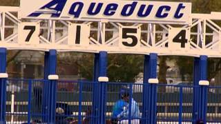 The Real Housewives of New York City Wealth