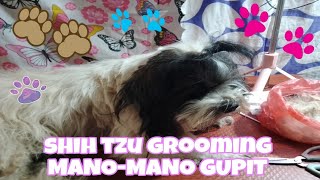 DOG GROOMING WITH MANOMANO GUPIT (SHIH TZU)