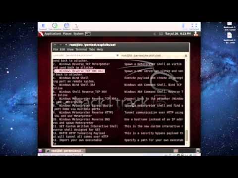 Backtrack 5 - VNC Server Exploit DLL