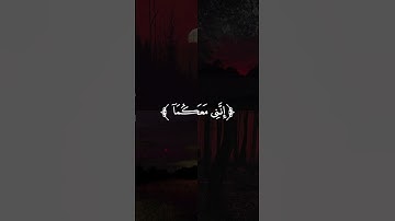 قران كريم 🌿 | شريف مصطفى