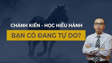 #9 - Tù thể xác và Tù tâm trí - Bạn có chắc mình đang tự do? | Chánh Kiến - 3H - Trần Việt Quân