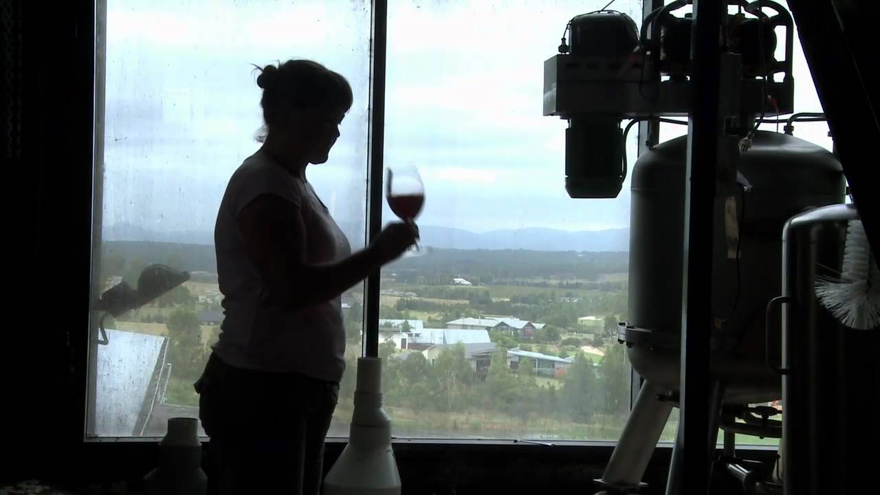 TheCellarStory - Bimbadgen Shiraz