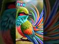 soothing relaxation music with birds singing for focus, meditation and concentration #birds #nature