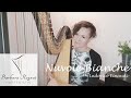 Nuvole bianche ludovico einaudi  harp cover  barbara regnat  harfe