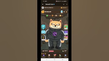 Memefi Secret Combo Today | Memefi Daily Combo #shorts #memefidailycombo #memefi #trending