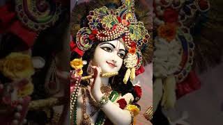 Video thumbnail of "Krishnaya  Govinda Gopala Narayana - Sri Krishna Peaceful Song Hari Narayana"