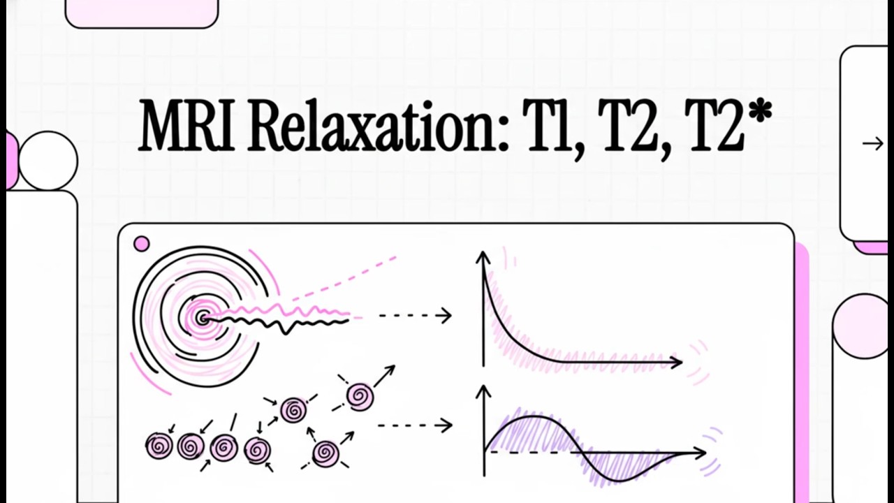 3. MRI Relaxation: T1, T2, T2*