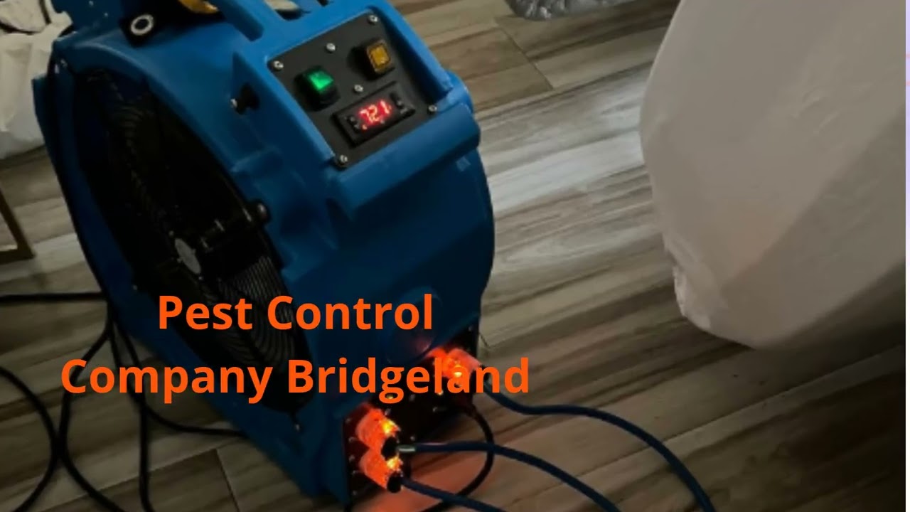 Bed Bug Texas Termite & Pest Control Company in Bridgeland