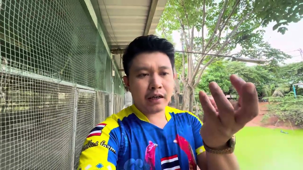 อวยเจ้าแสนชัย😁🙏