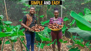 How To Start A Successful GREENHOUSE SNAIL FARM as a BEGINNER in Ghana with LESS CAPITAL #snail