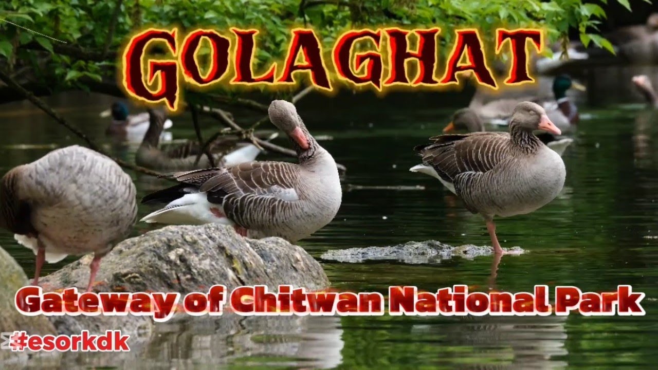 A True Birds Paradise in Nepal 