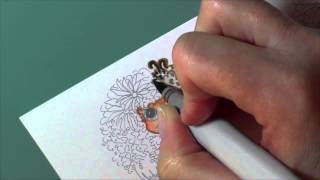 Copic coloring: Curly Hair