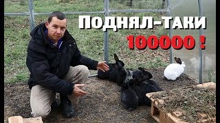 ВСЁ-ТАКИ ПОДНЯЛ 100000 руб.на кроликах!