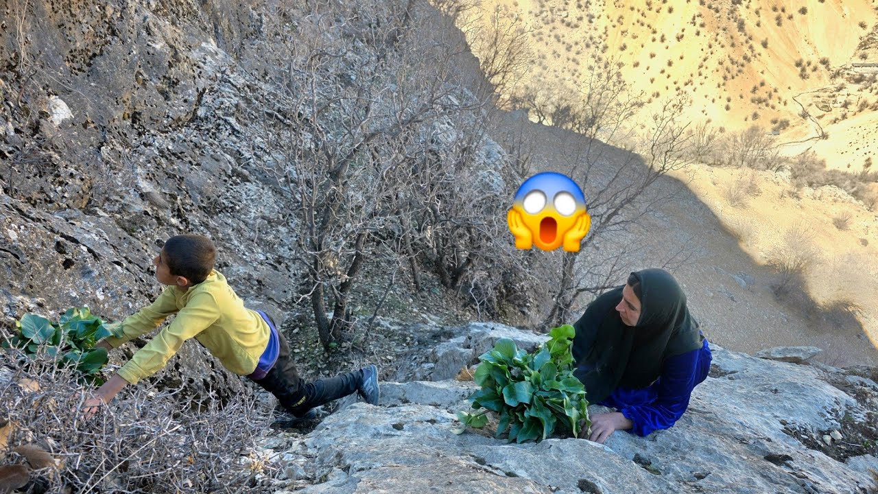 Internet outage in the country: Najmeh and Vahid search for medicinal plants in the midst of danger