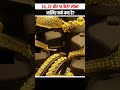 24, 22 और 18 कैरेट सोना आखिर फर्क क्या है? #goldnews #goldprice #gold #goldupdate #goldpriceforecast