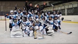 Bílí Tygři Liberec: ročník 2012 (16.3.2019) LIBERECKÝ POHÁR