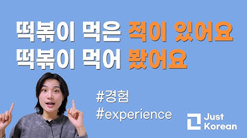 Korean Grammar 한국어 문법  : #경험  은/ㄴ 적이 있다 VS 아/어 봤다
