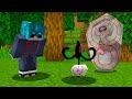 ESSE POKÉMON ESCONDE ALGO MISTERIOSO NO MINECRAFT PIXELMON