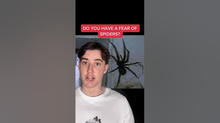 Do You Have A Fear Of Spiders? #Shorts