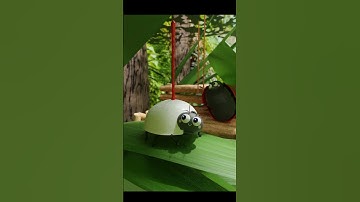 Is this how ladybirds get their color??