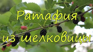 картинка: Ратафия из шелковицы.