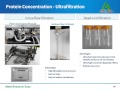 Identify the optimal protein purification strategy for your recombinant protein production