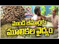Ayurvedic Medicine For Many Diseases | V6 Weekend Teenmaar