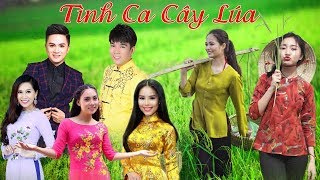 Tình Ca Trên Lúa , Lúa Mùa Duyên Thắm, Yêu Chị Hai Lúa, LK Nhạc Miền Tây, Khưu Huy Vũ, Lâm Ngọc Hoa