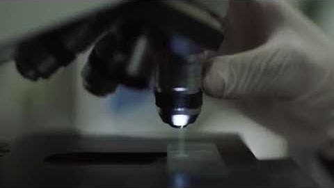 MSc Forensic Science at the University of Lincoln