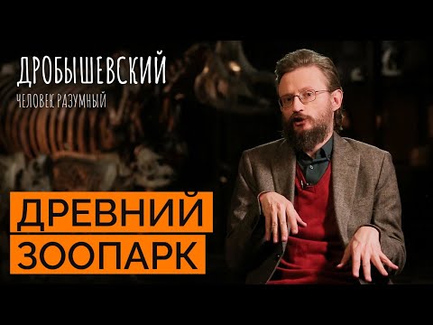 Как на эволюцию предков повлиял животный мир // Дробышевский