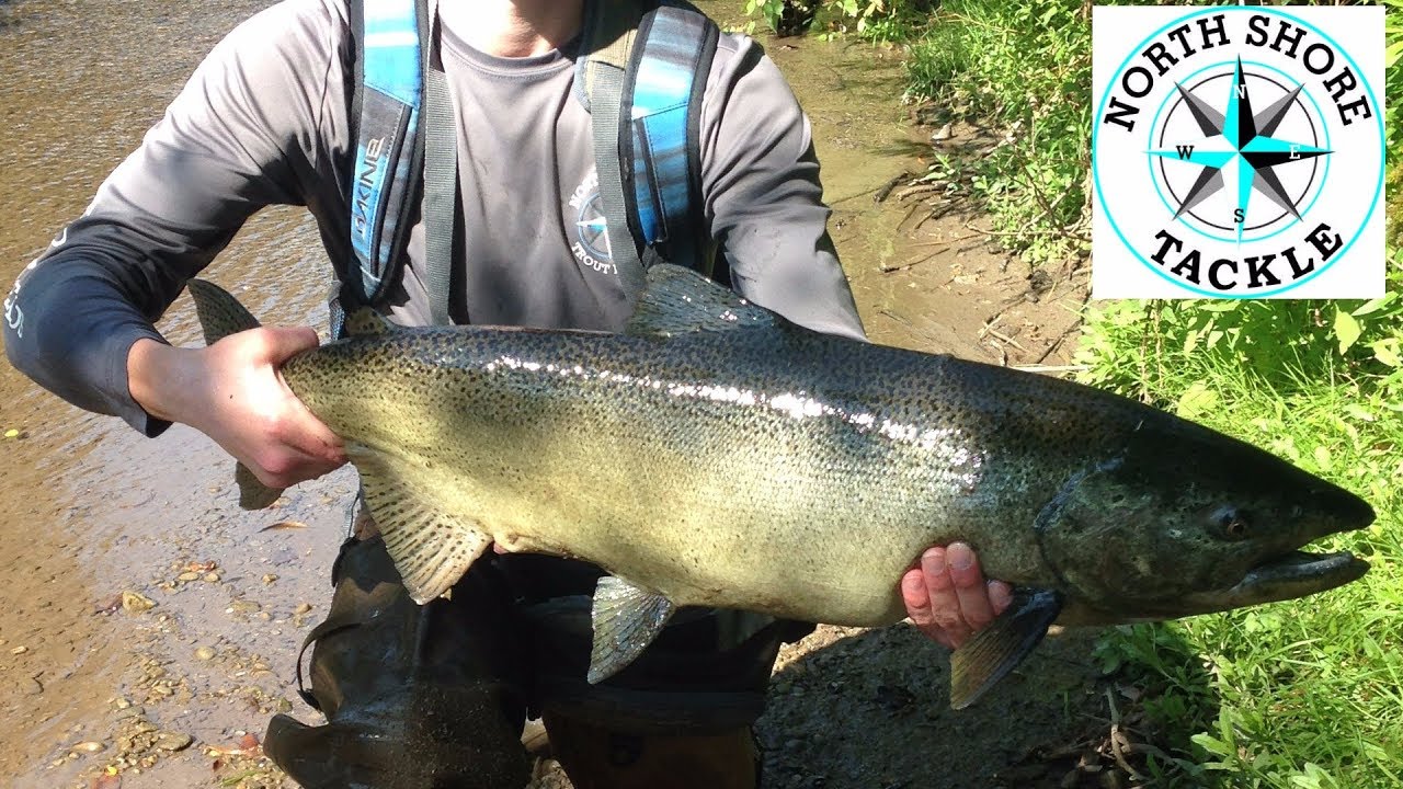 Salmon fishing with streamers YouTube