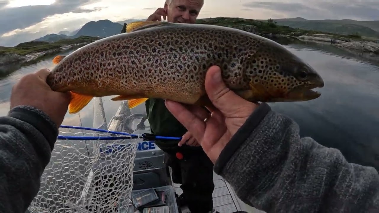 Ørretfiske på vinstre-DET BLE NOEN RÅ OPPLEVELSER.