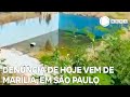 Record News contra a dengue: denúncia de hoje vem de Marília, em São Paulo