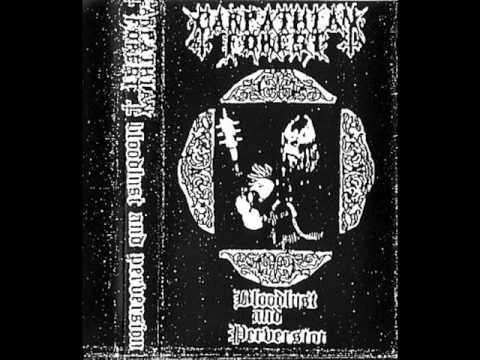 Carpathian Foresr - The Woods Of Wallachia