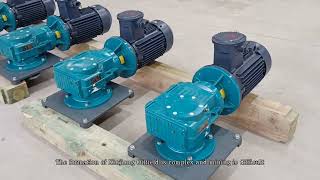 Helical gear reducer mud agitator for HL