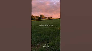 تلاوة بصوت جميل جدا للقارئ بلال الاغبري #المنشاوي #بلال_الاغبري #قرآن #صوت_جميل