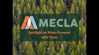 MECLA Spotlight on Ways Forward with Trees, Wood and Carbon in a Climate Crisis