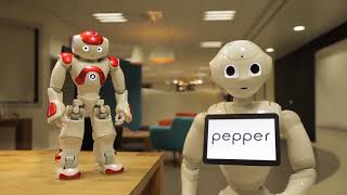 Pepper robot