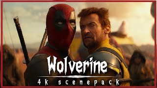 Deadpool & Wolverine 4K Twixtor Scenepack | Marvel 4K Clips