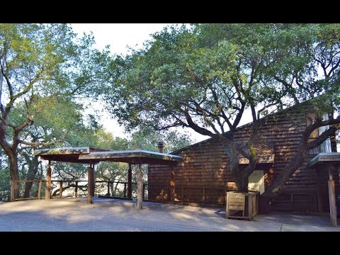 451 Jackson Street, Albany, CA home video tour