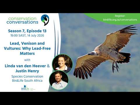 Lead, Venison and Vultures: Linda van den Heever & Justin Henry Conservation Conversations (14 July)