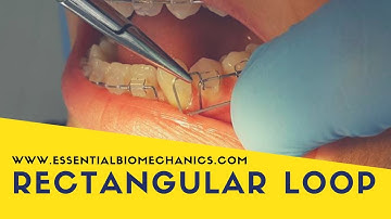 Rectangular loop | Essential Biomechanics