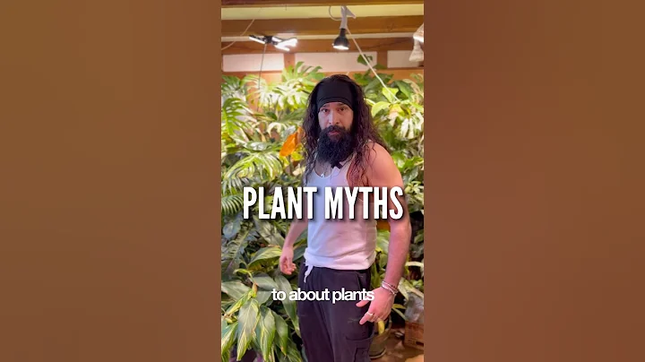 What you lying for?!