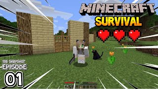 Minecraft Survival | The Start of A New Beginning | 1.16 Let's Play Episode 1