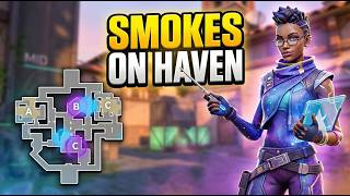 HAVEN SMOKES THE ULTIMATE PRO GUIDE