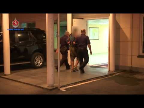 შსს-მ ანაკლიაში ნარკოდანაშაულისთვის ერთი პირი დააკავა